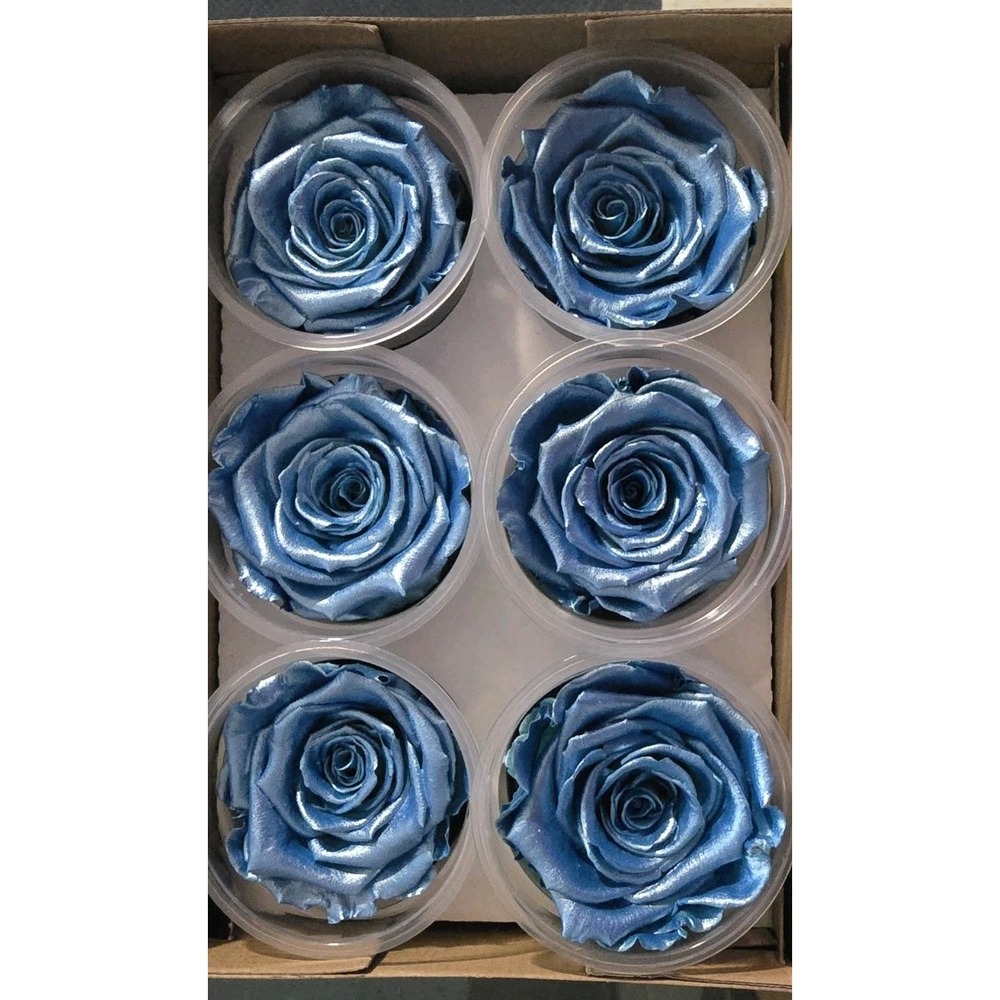 Preserved‎ Roses Forever Roses 6 Pack Metallic Blue XL  Ecuador